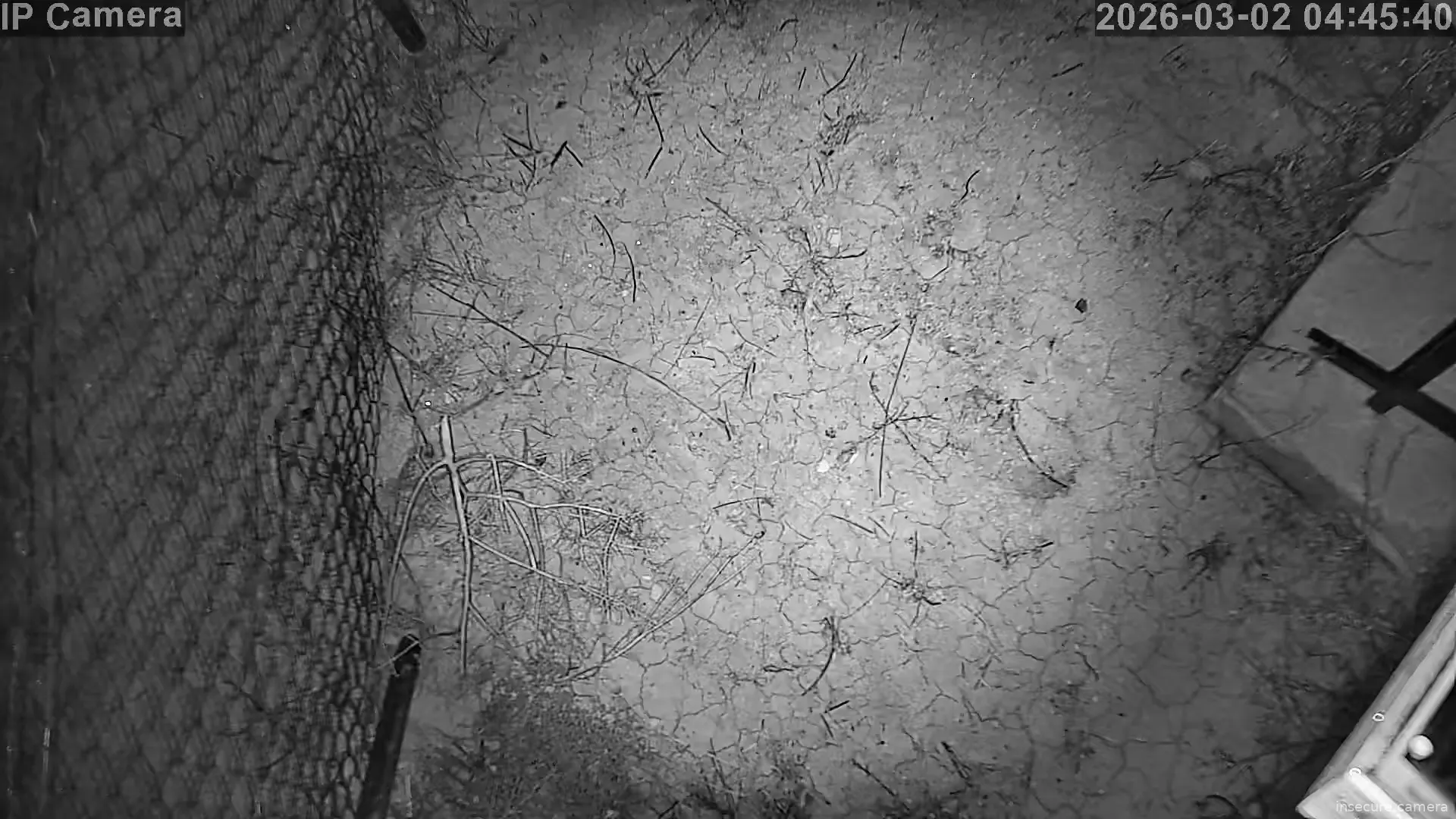 Capture from Mar 02, 2026 at 01:45 AM