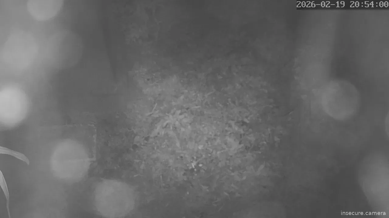 Capture from Feb 19, 2026 at 11:55 AM