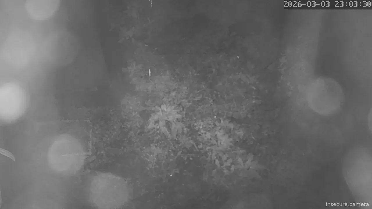 Capture from Mar 03, 2026 at 02:03 PM