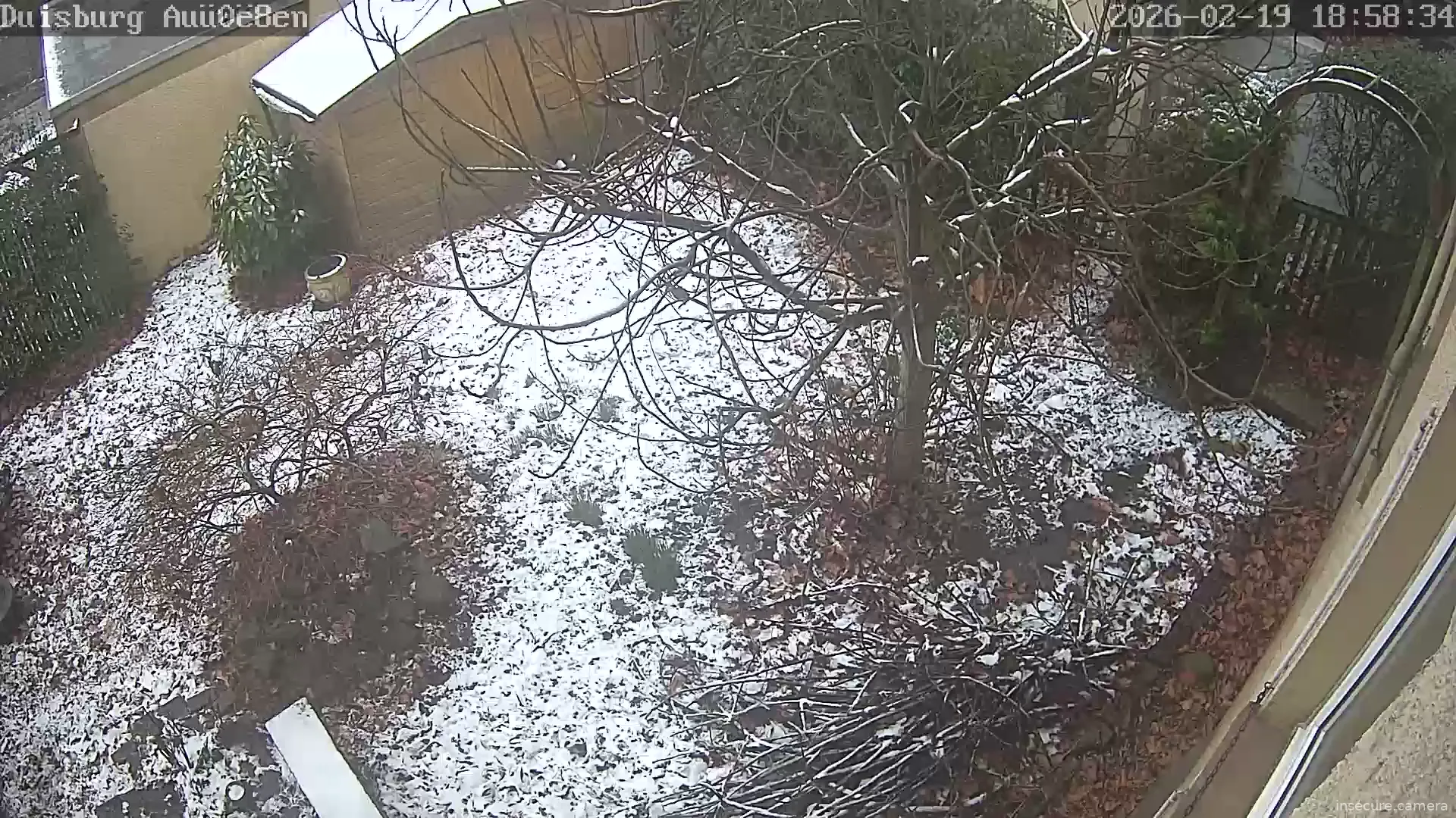 Capture from Feb 19, 2026 at 10:58 AM