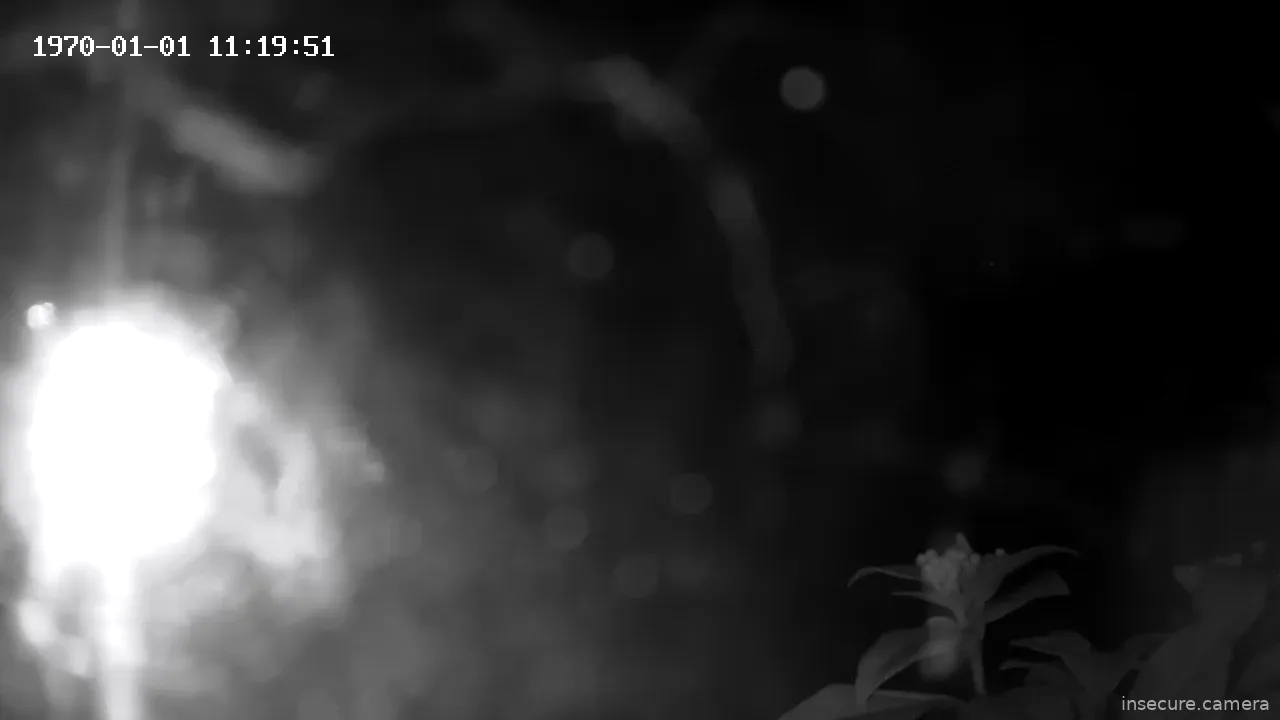 Capture from Mar 21, 2026 at 04:26 AM