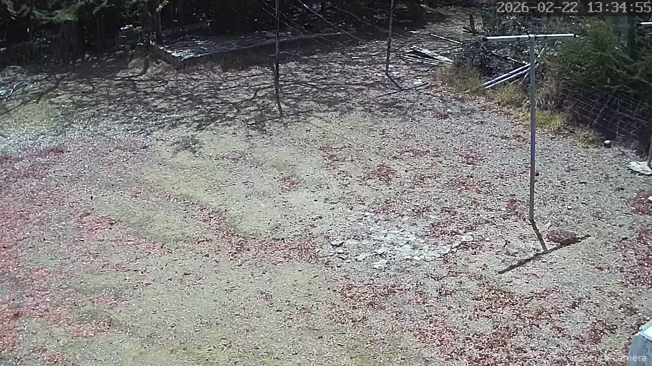 Capture from Feb 22, 2026 at 05:35 PM