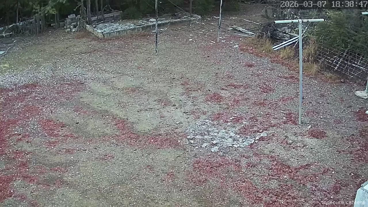 Capture from Mar 07, 2026 at 10:38 PM