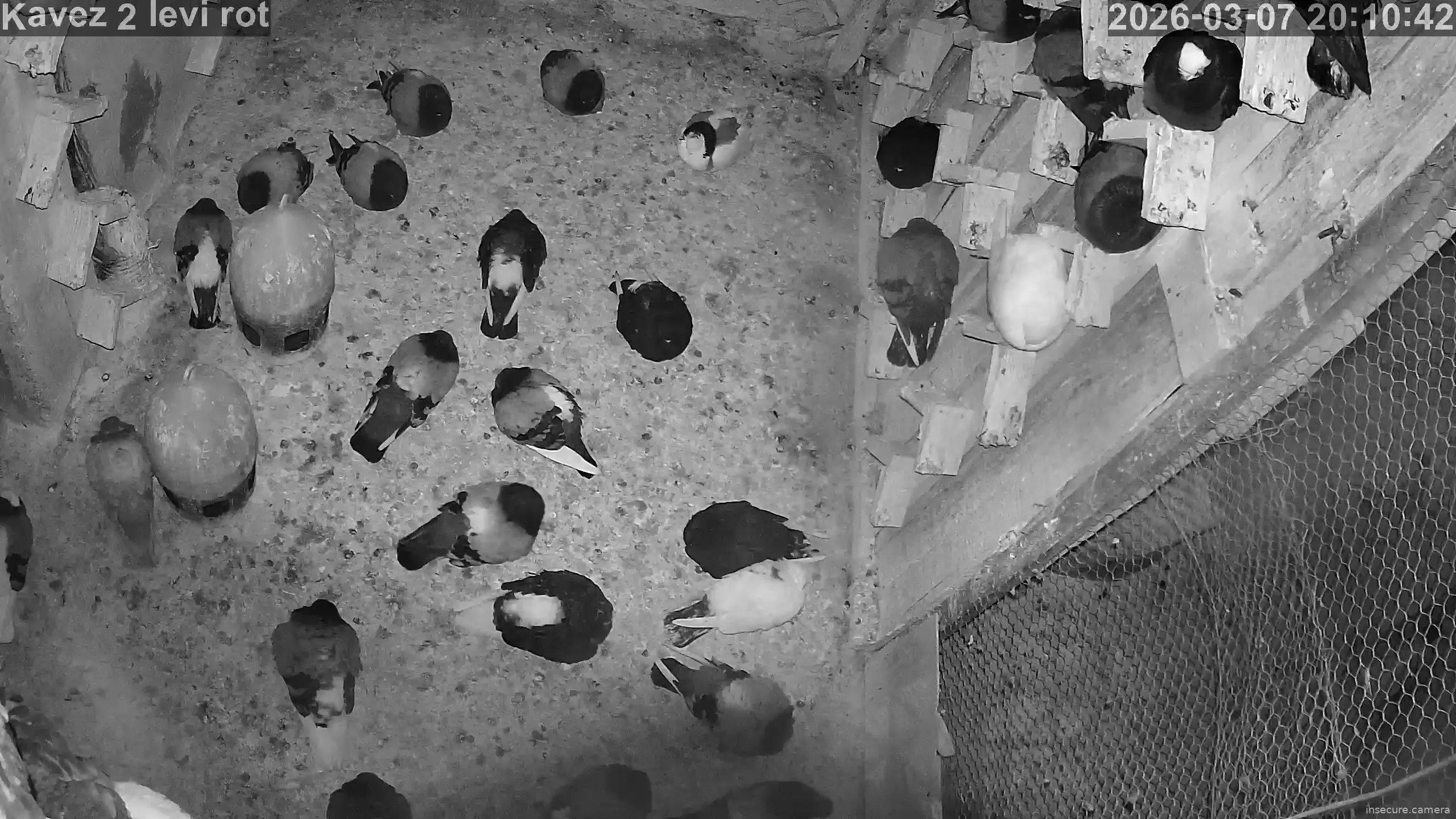 Capture from Mar 07, 2026 at 07:11 PM