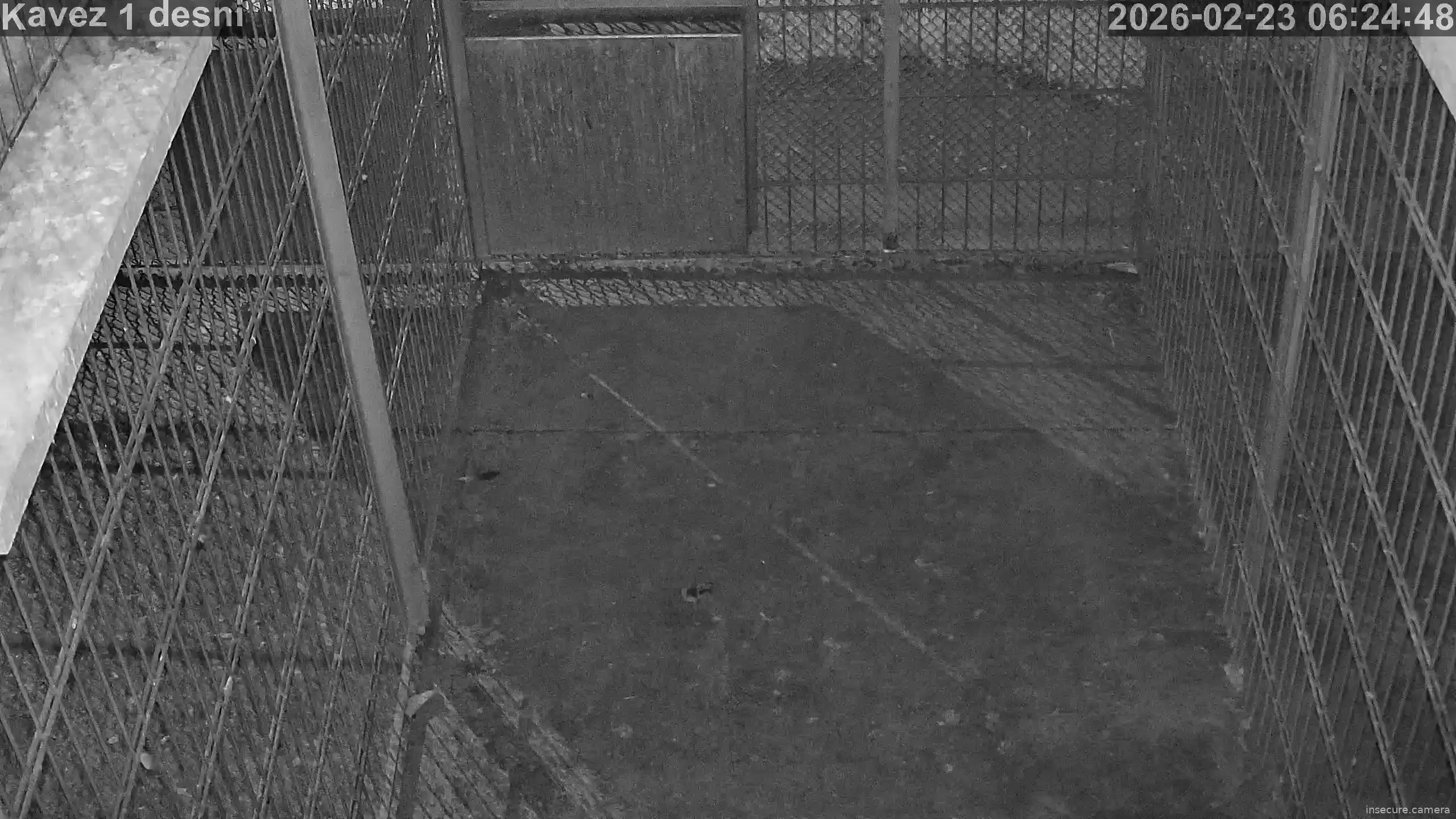 Capture from Feb 23, 2026 at 04:25 AM