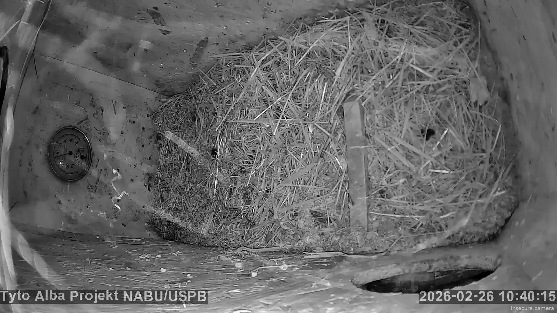 Capture from Feb 26, 2026 at 08:40 AM