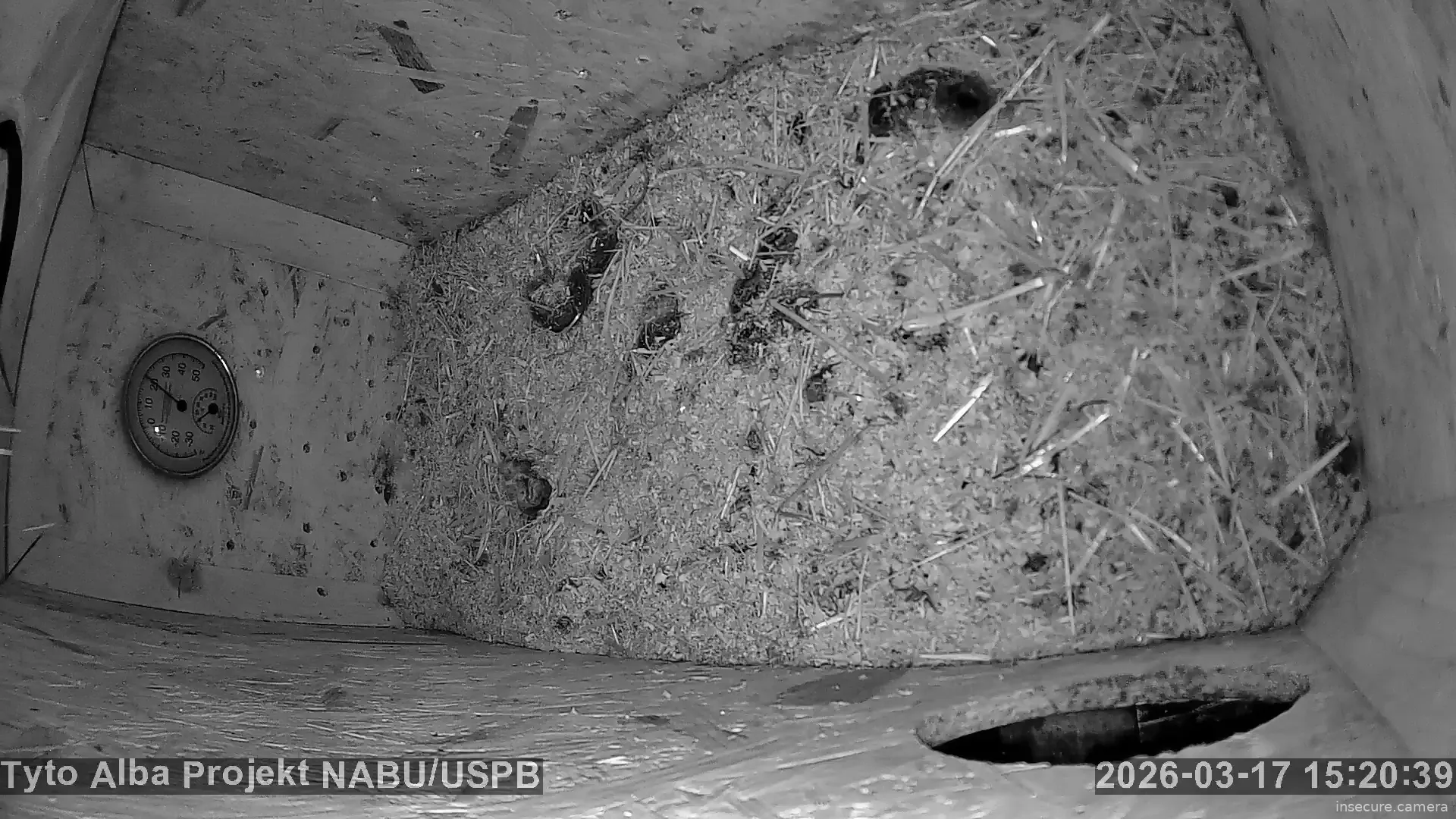 Capture from Mar 17, 2026 at 01:20 PM