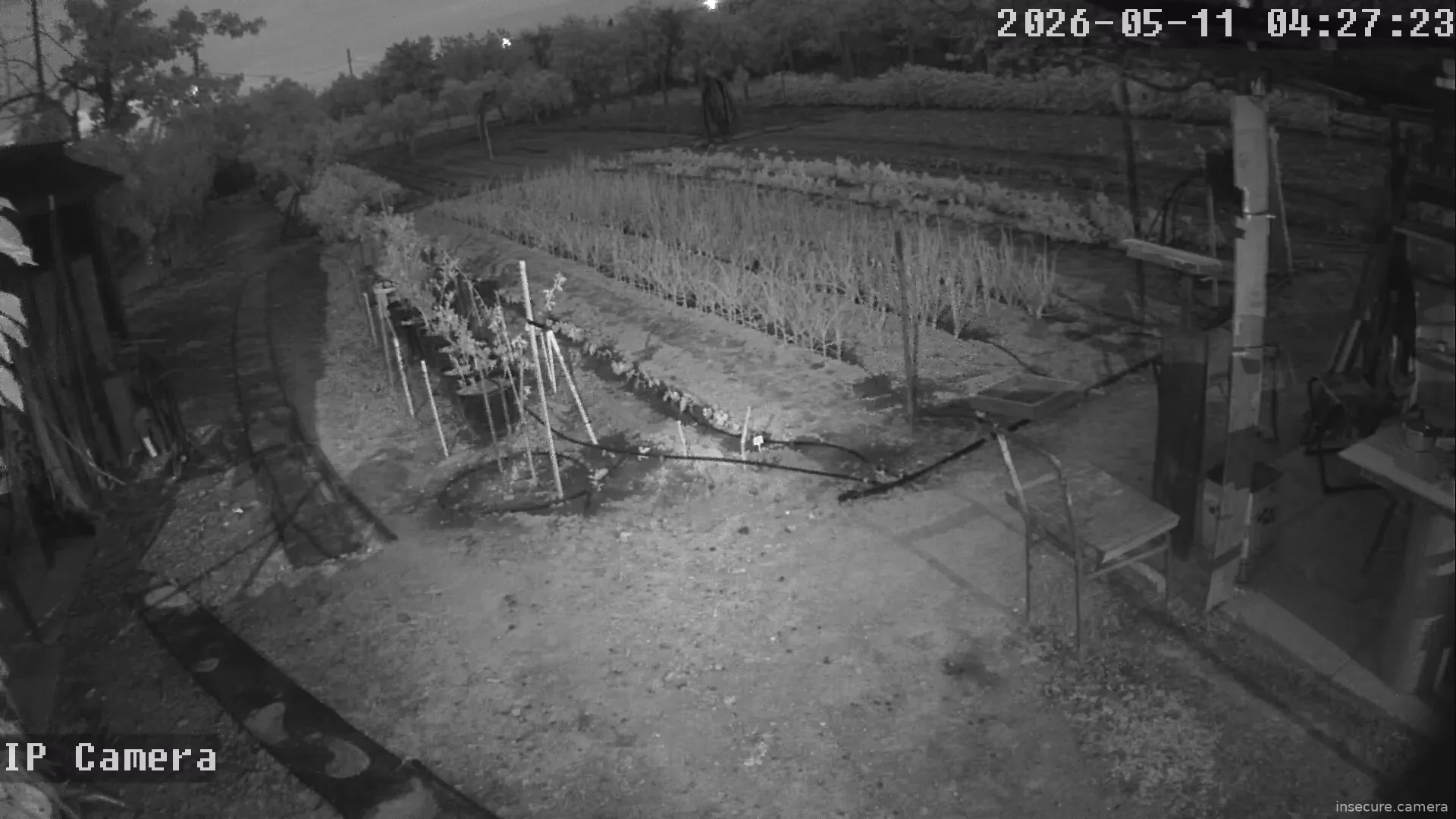 Camera in Bulgaria