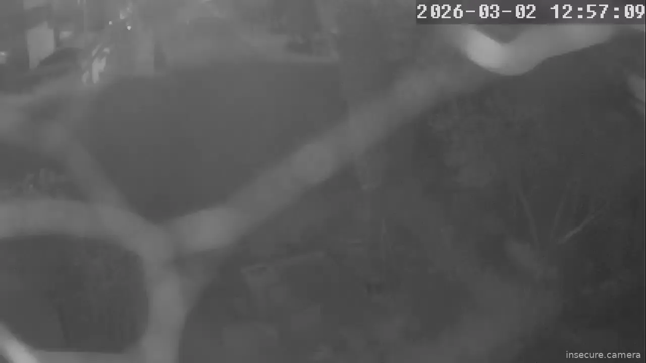 Capture from Mar 02, 2026 at 04:57 AM