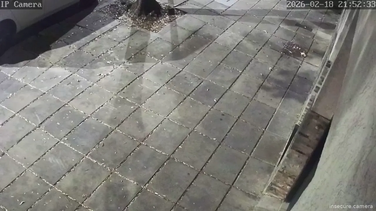 Capture from Feb 19, 2026 at 12:53 AM