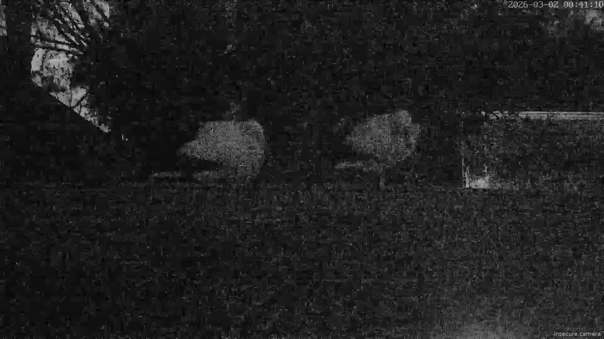 Capture from Mar 01, 2026 at 11:41 PM