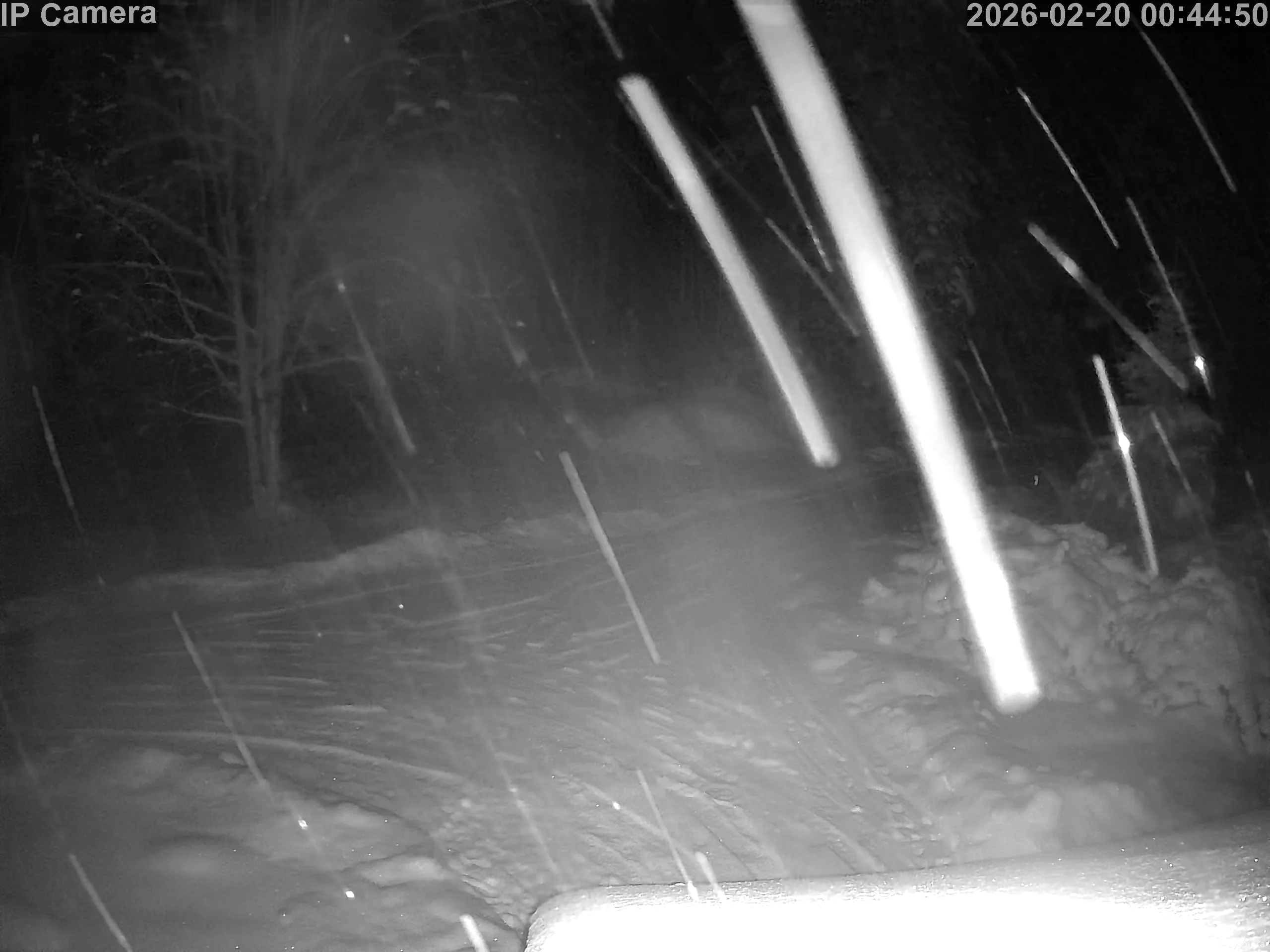 Capture from Feb 19, 2026 at 10:45 PM