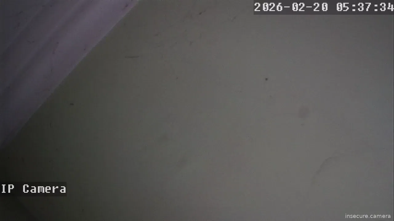 Capture from Feb 19, 2026 at 09:38 PM