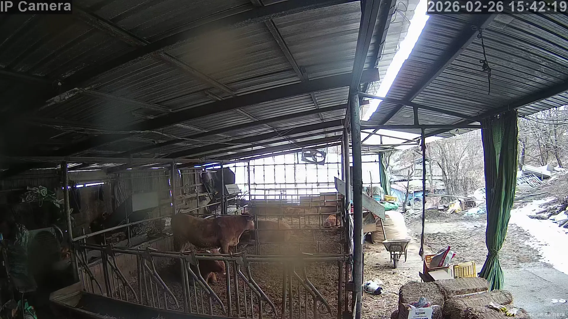 Capture from Feb 26, 2026 at 07:42 AM