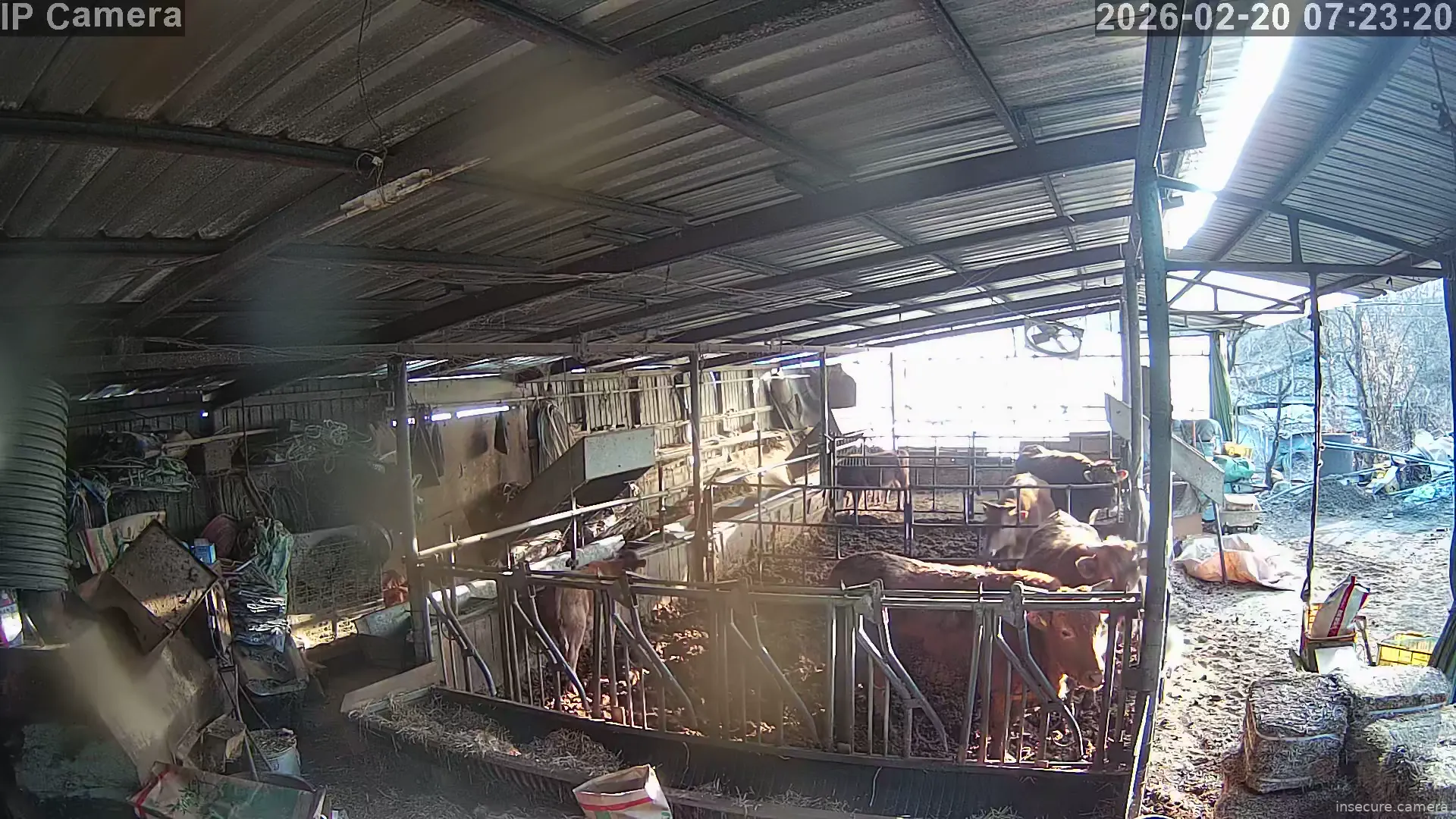 Capture from Feb 19, 2026 at 11:23 PM