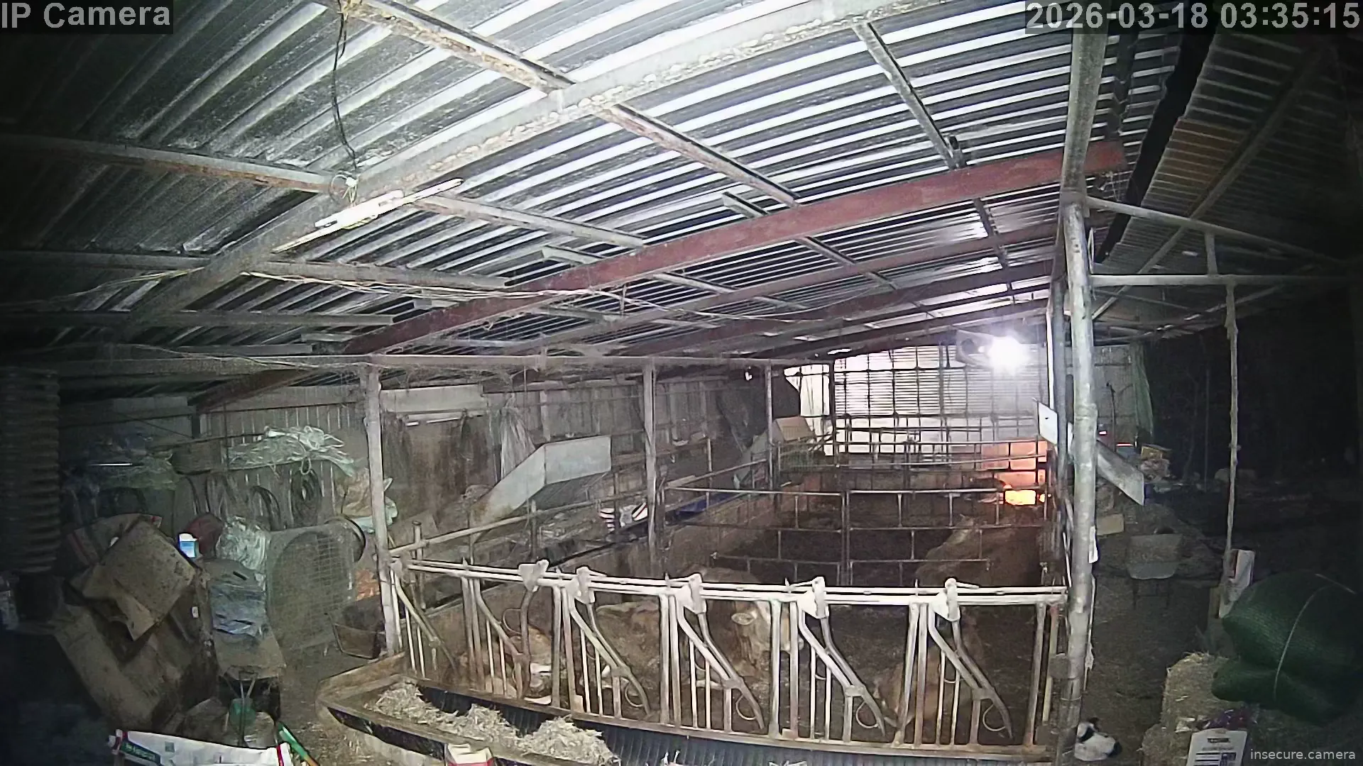 Camera in South Korea