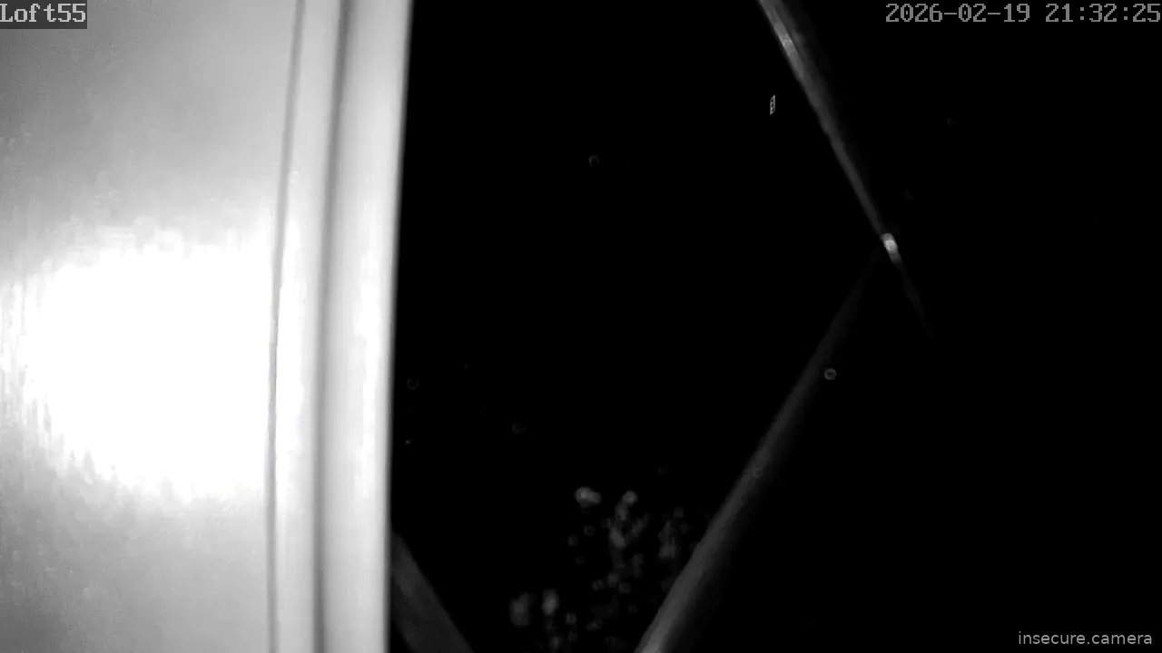 Capture from Feb 19, 2026 at 09:32 PM