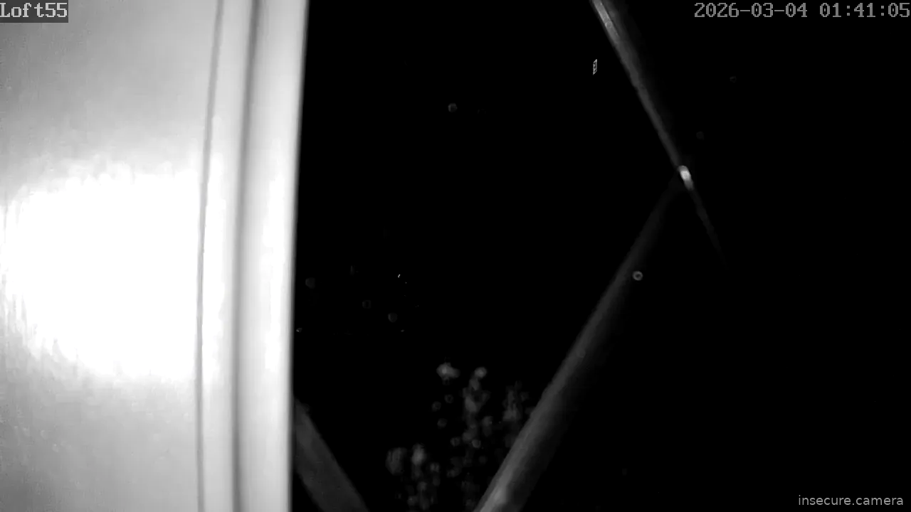 Capture from Mar 04, 2026 at 01:41 AM