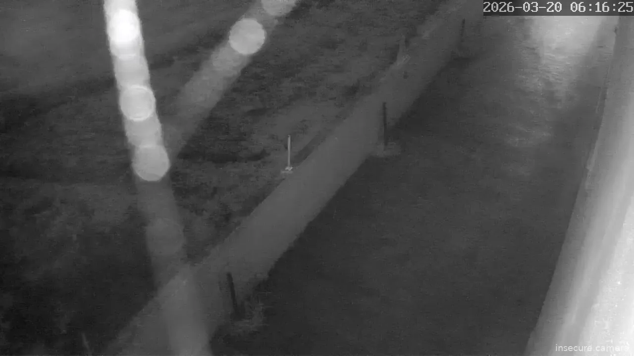 Capture from Mar 20, 2026 at 06:16 AM