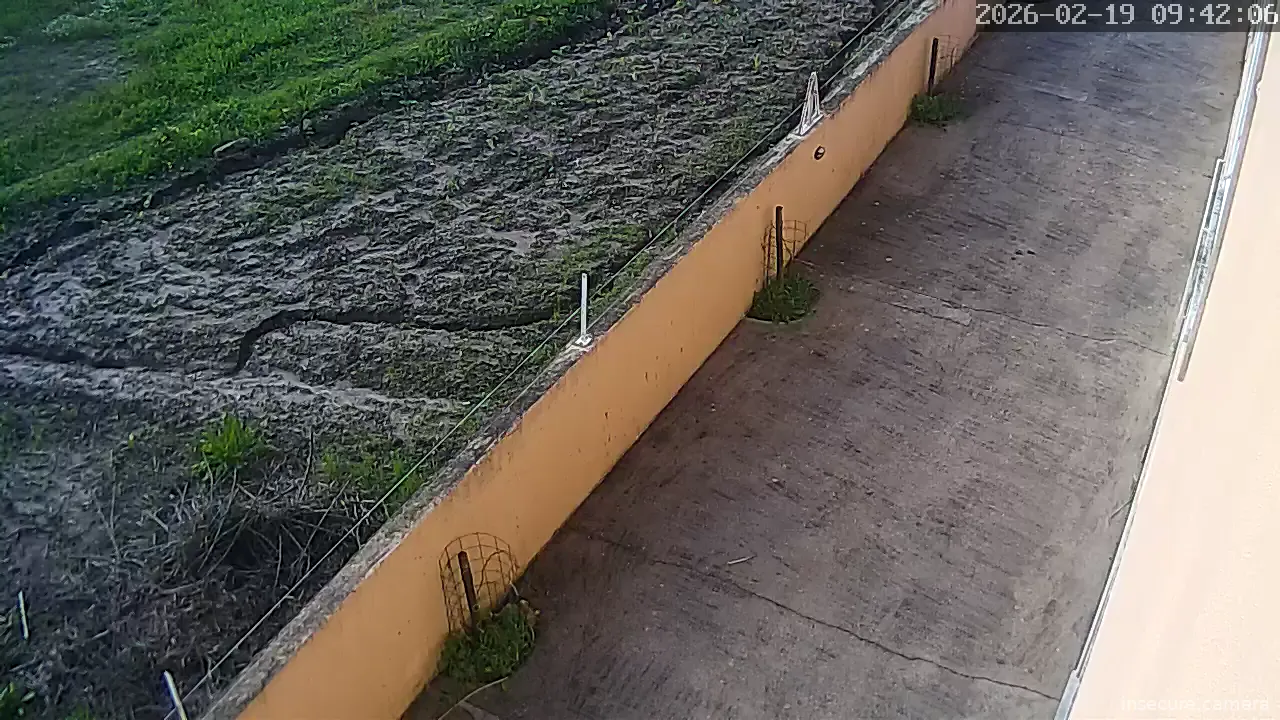 Capture from Feb 19, 2026 at 05:01 PM