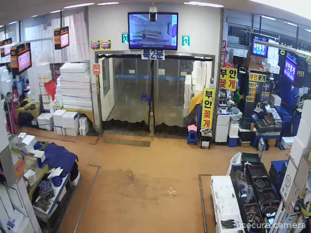 Capture from Feb 21, 2026 at 10:08 PM