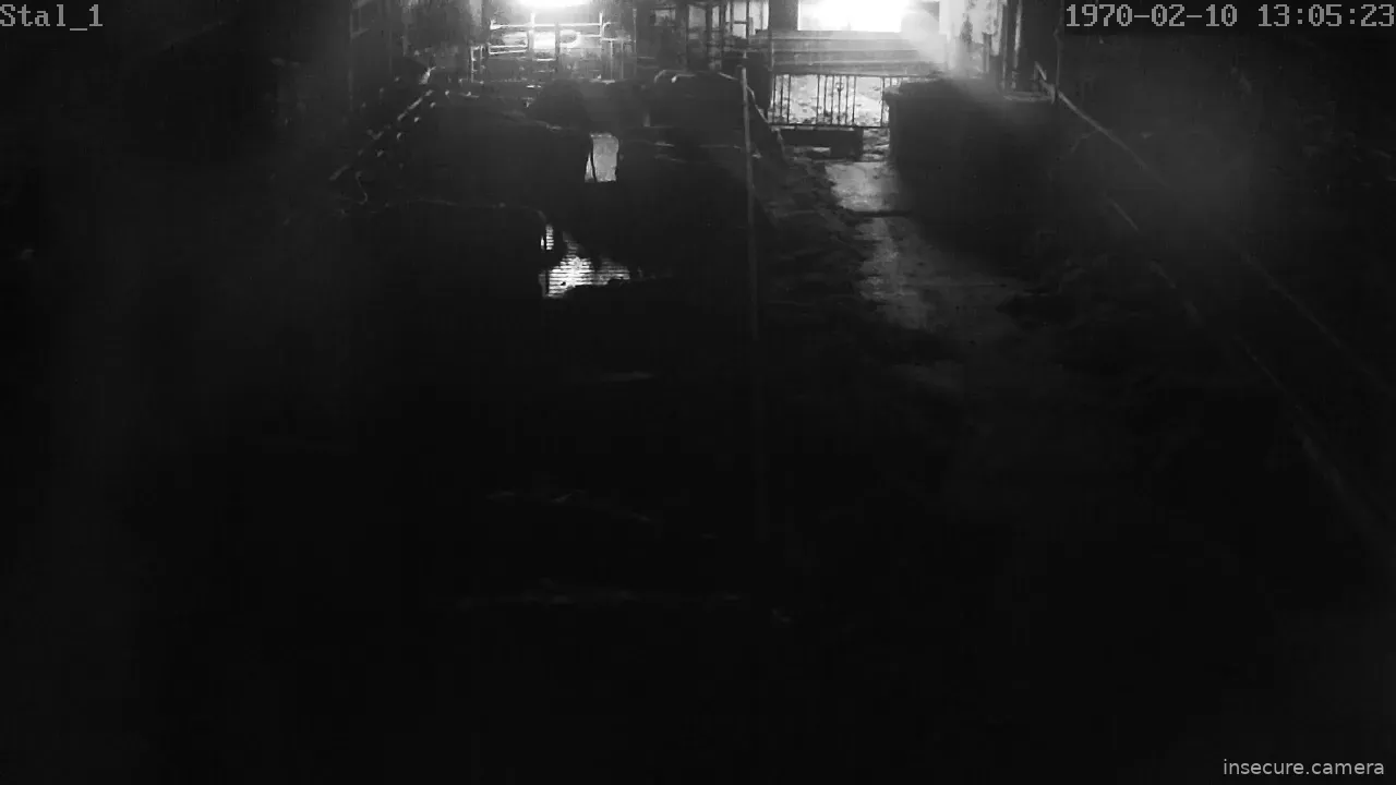 Camera in Netherlands