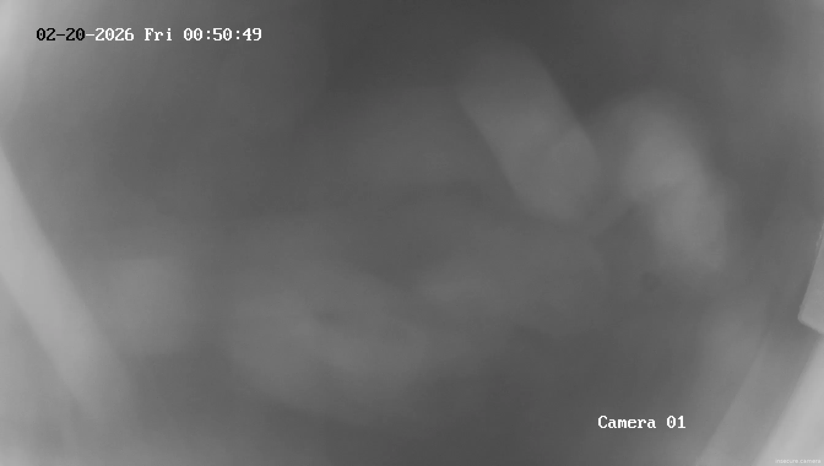 Capture from Feb 19, 2026 at 09:51 PM