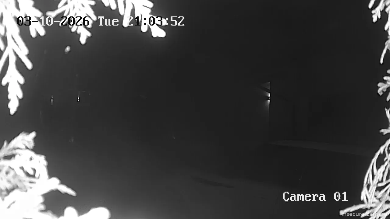 Capture from Mar 10, 2026 at 08:07 PM