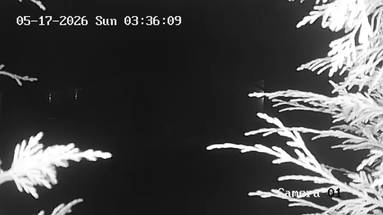 Capture from May 17, 2026 at 02:41 AM