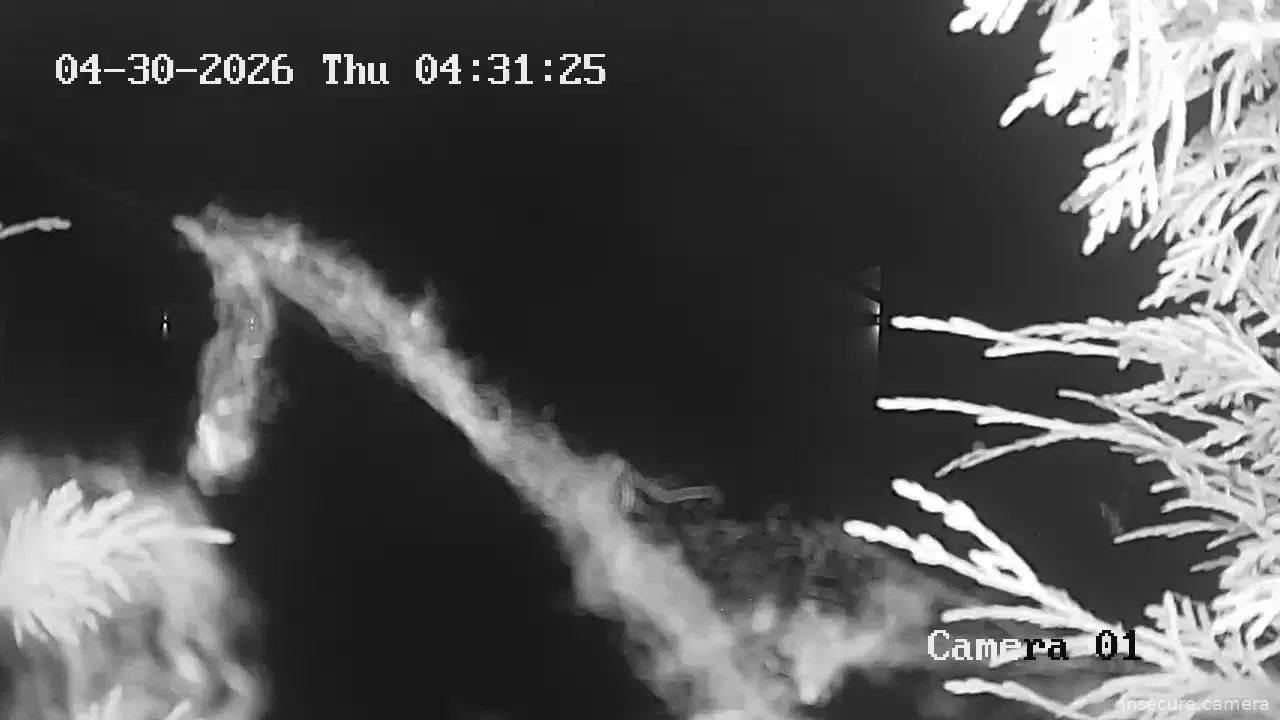 Capture from Apr 30, 2026 at 03:36 AM