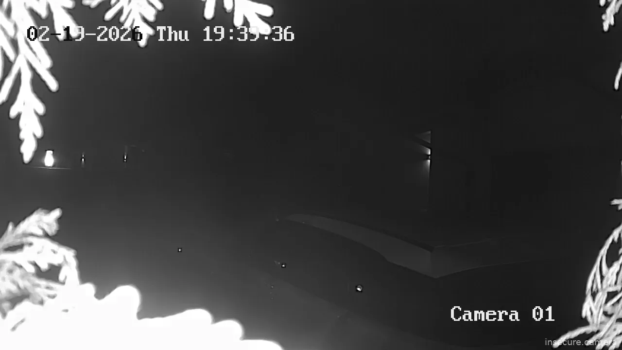 Capture from Feb 19, 2026 at 06:42 PM