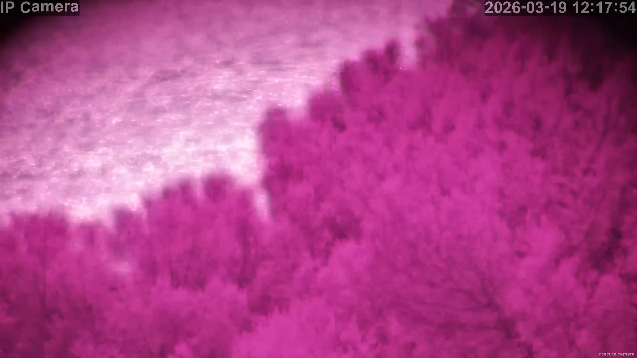 Capture from Mar 19, 2026 at 11:18 AM