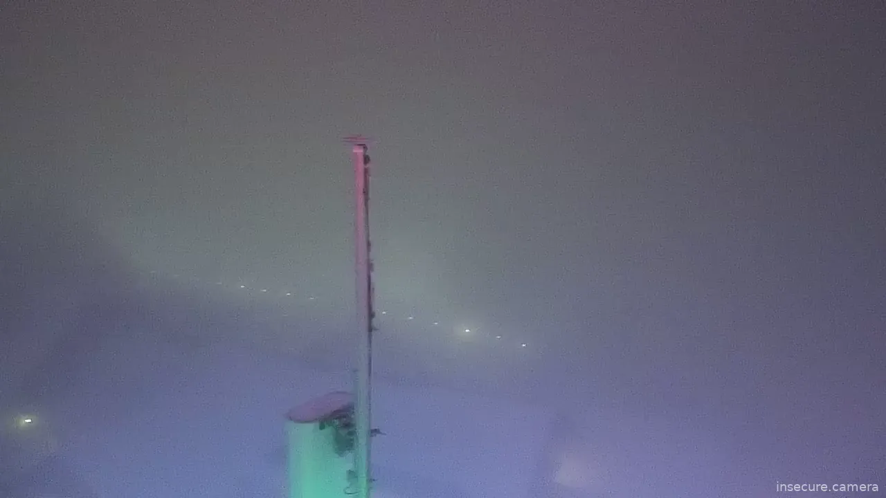 Capture from Feb 19, 2026 at 03:14 AM