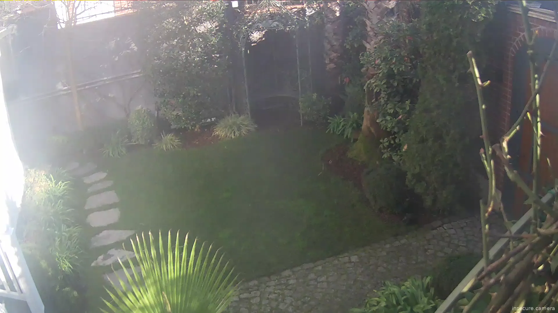 Capture from Feb 19, 2026 at 06:58 AM