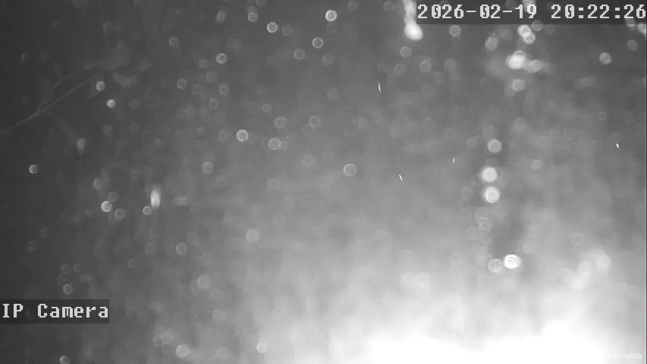 Capture from Feb 20, 2026 at 04:22 AM