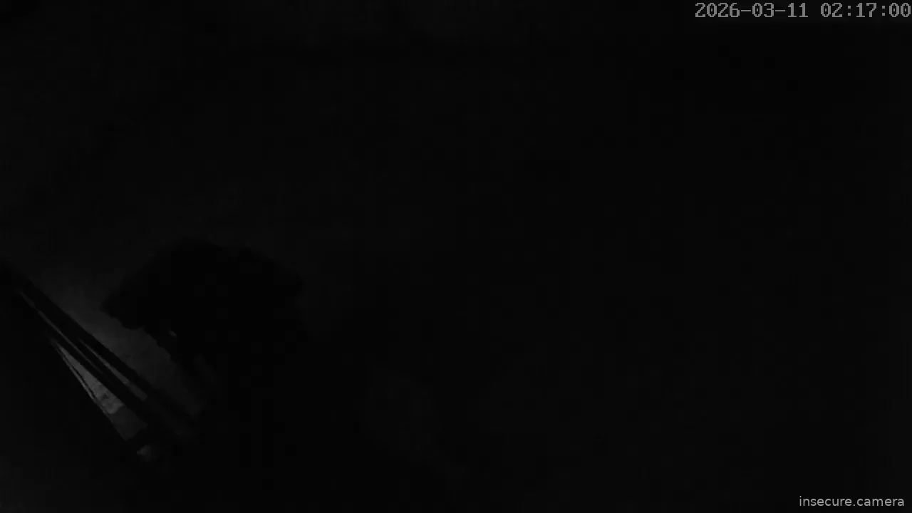 Capture from Mar 11, 2026 at 01:17 AM