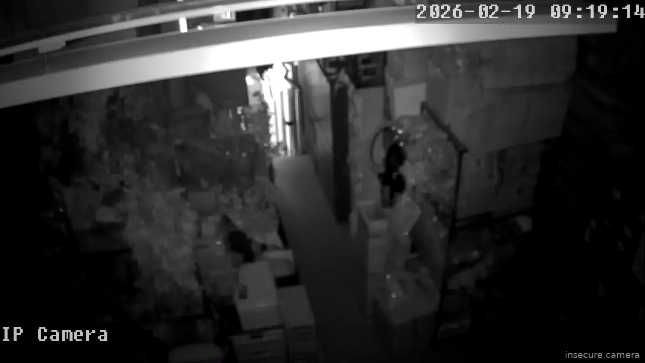 Capture from Feb 19, 2026 at 01:19 AM