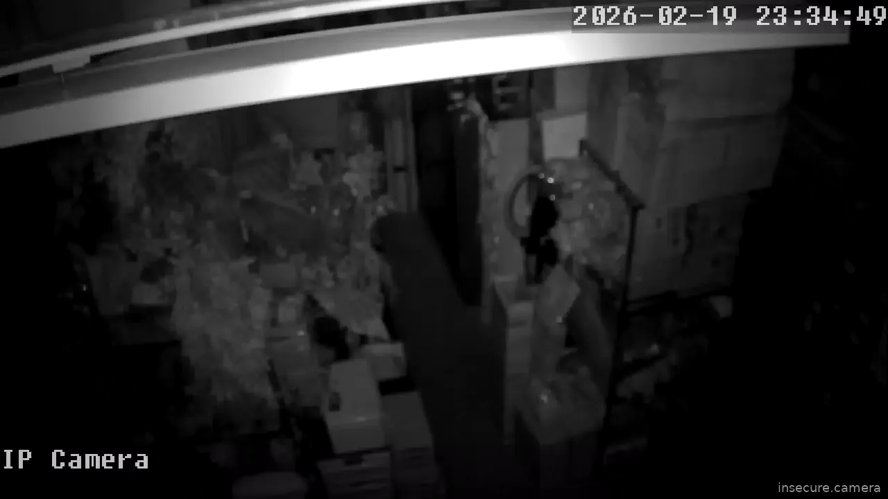 Capture from Feb 19, 2026 at 03:35 PM