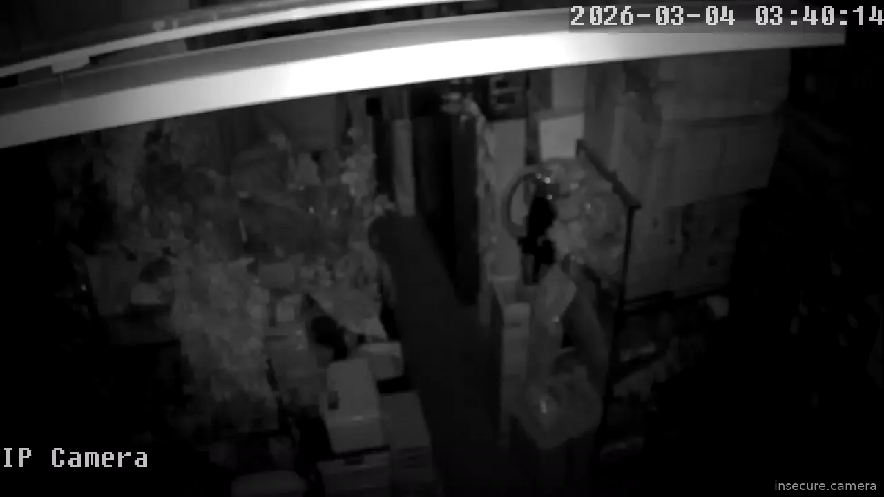 Capture from Mar 03, 2026 at 07:40 PM