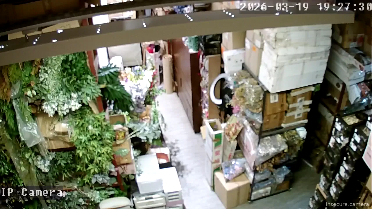 Camera in Hong Kong SAR China