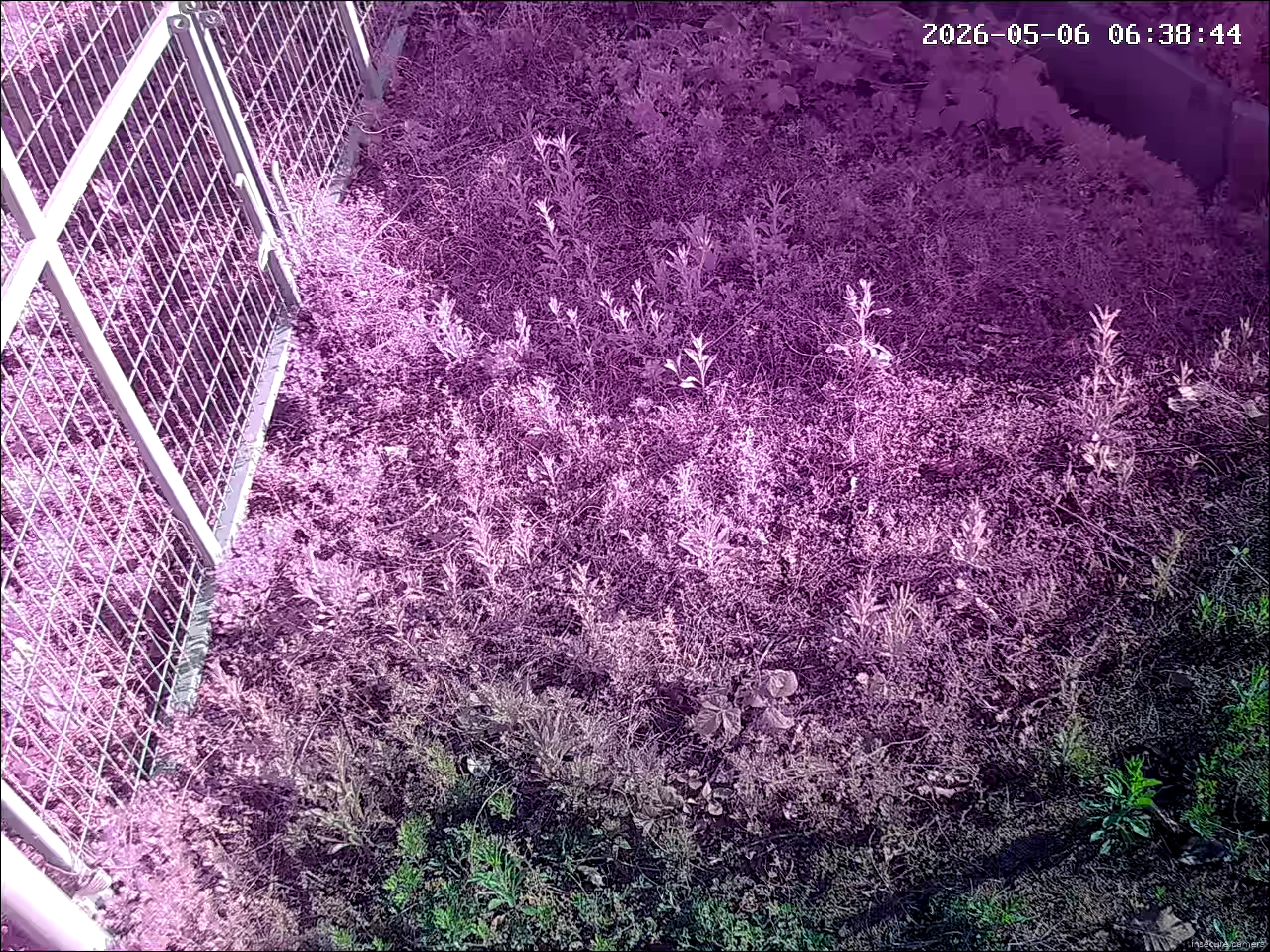 Camera in South Korea