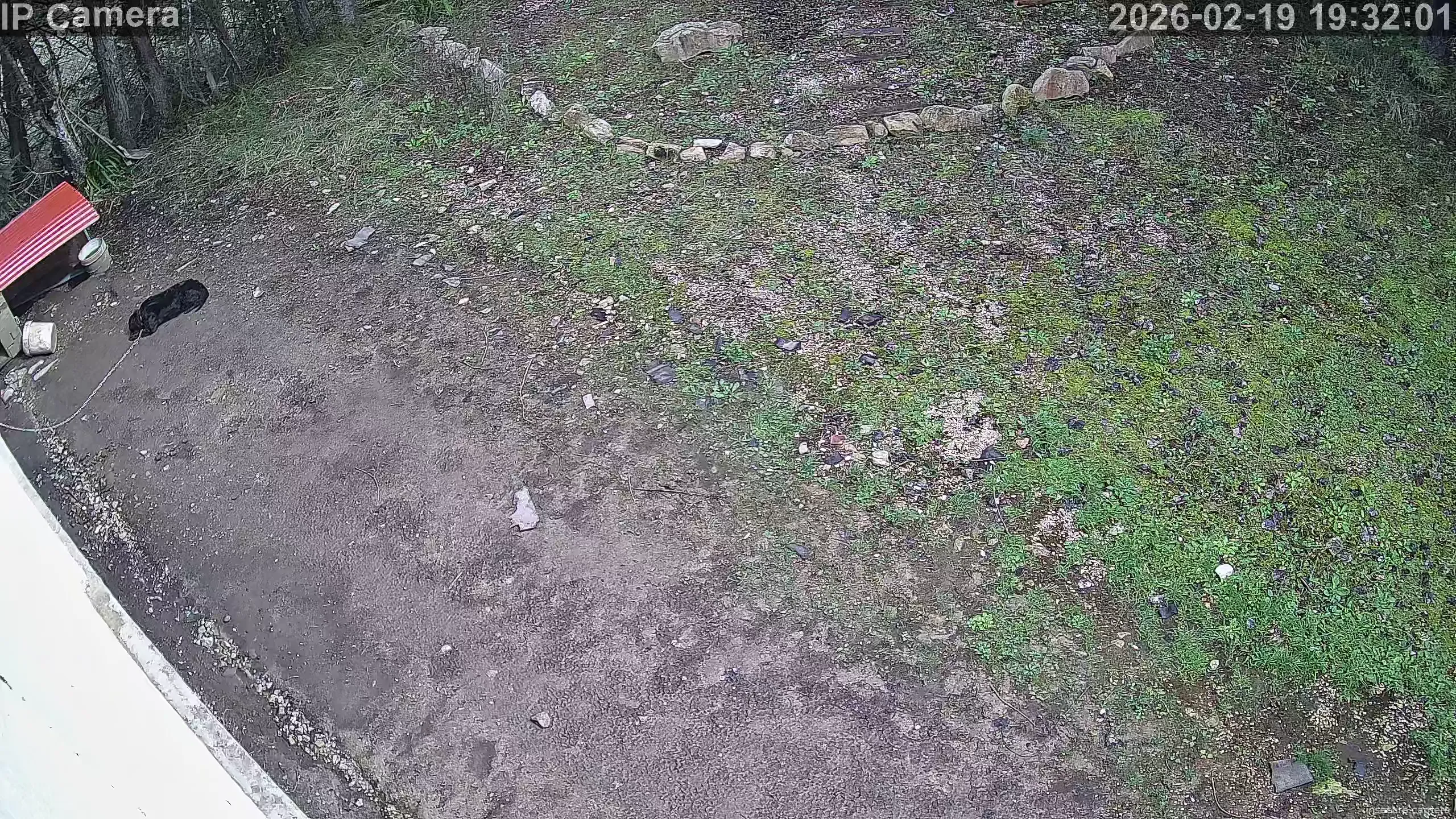 Capture from Feb 19, 2026 at 11:32 AM