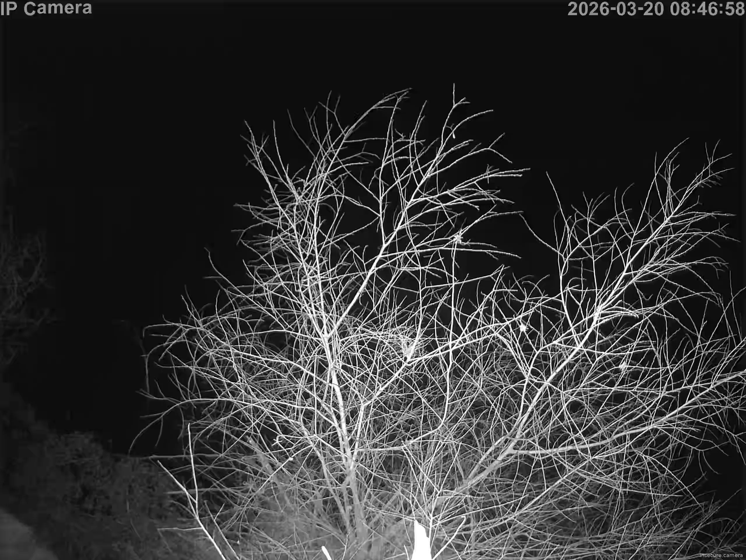 Capture from Mar 20, 2026 at 12:47 AM