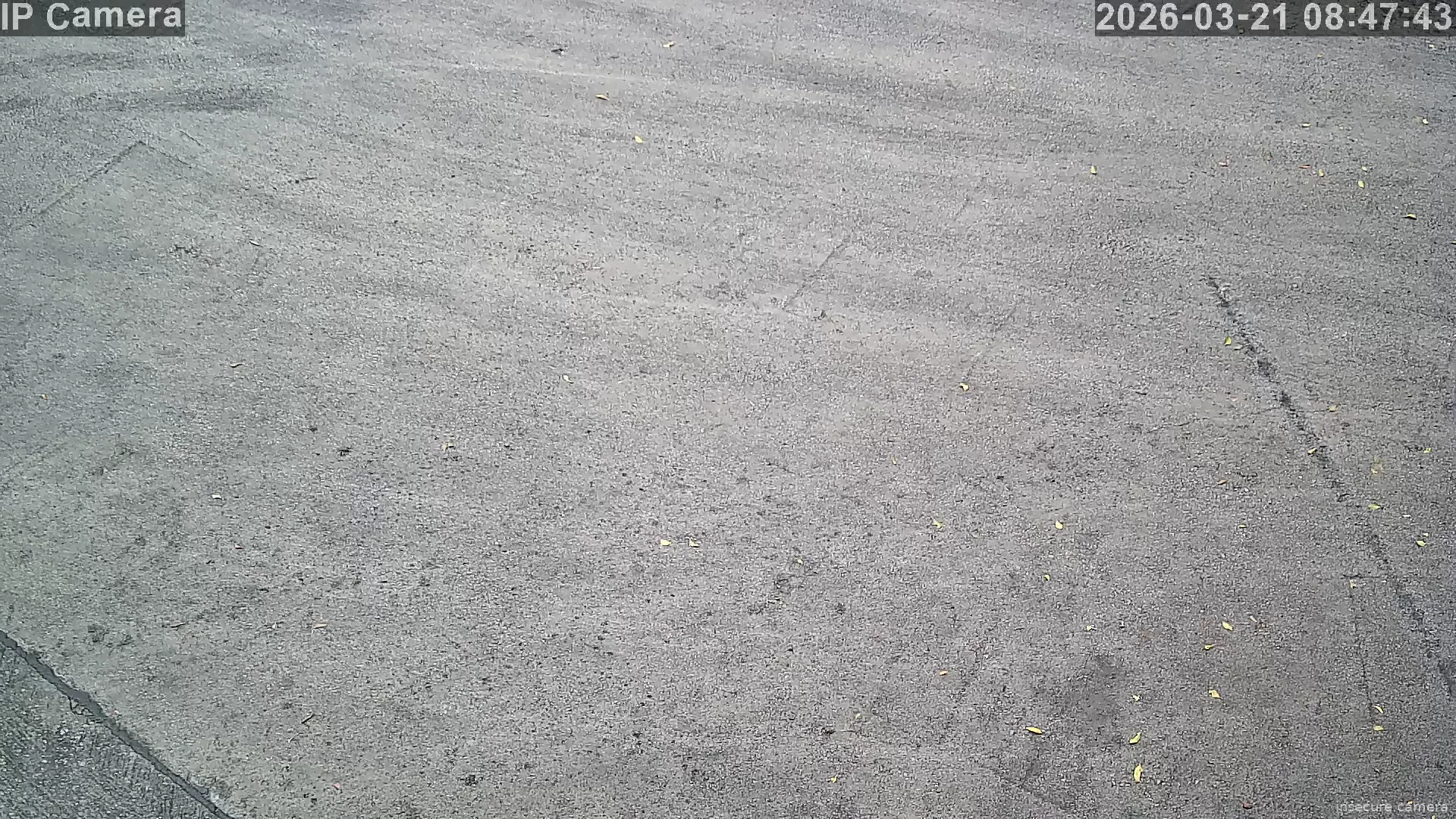 Capture from Mar 21, 2026 at 12:48 AM