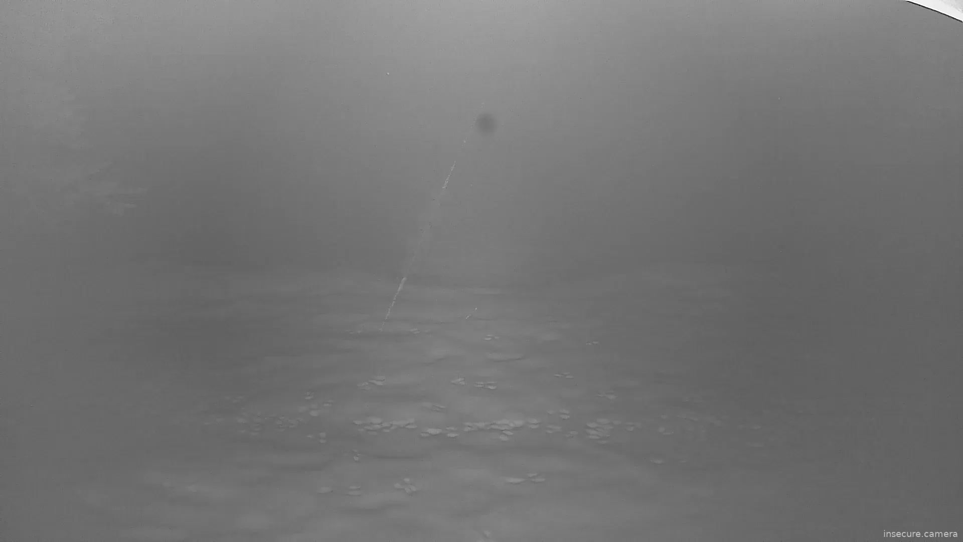 Capture from Feb 19, 2026 at 07:24 AM