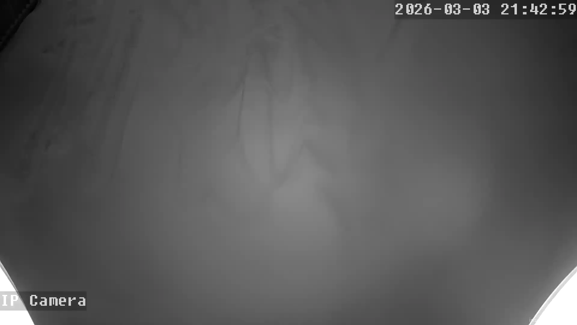 Capture from Mar 04, 2026 at 04:43 AM