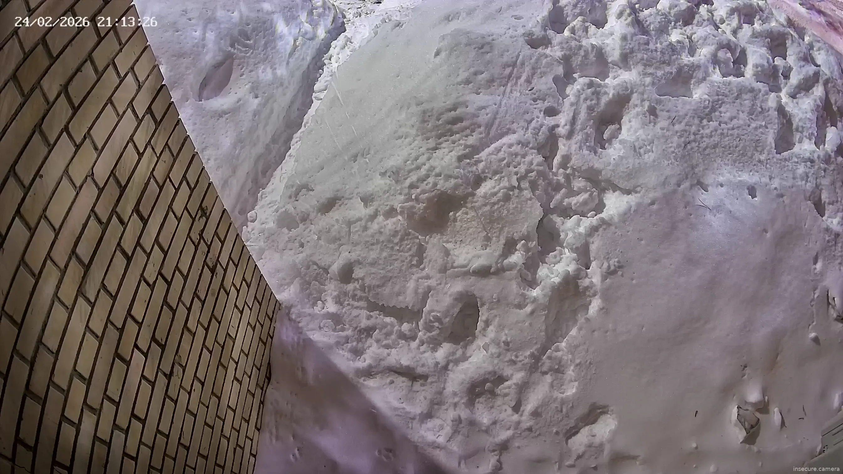 Capture from Feb 24, 2026 at 06:13 PM