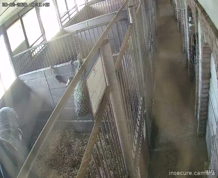 Capture from Feb 28, 2026 at 09:42 AM