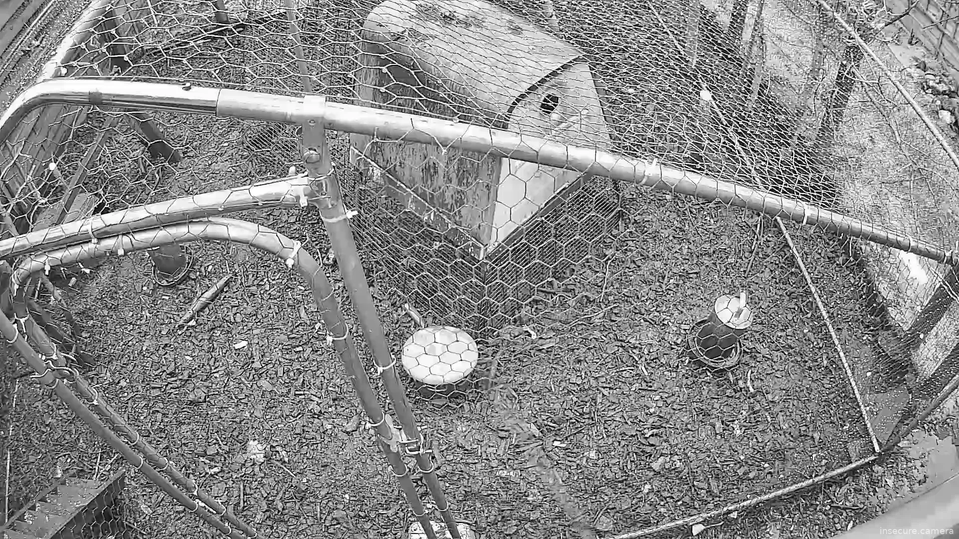 Capture from Feb 19, 2026 at 07:28 AM