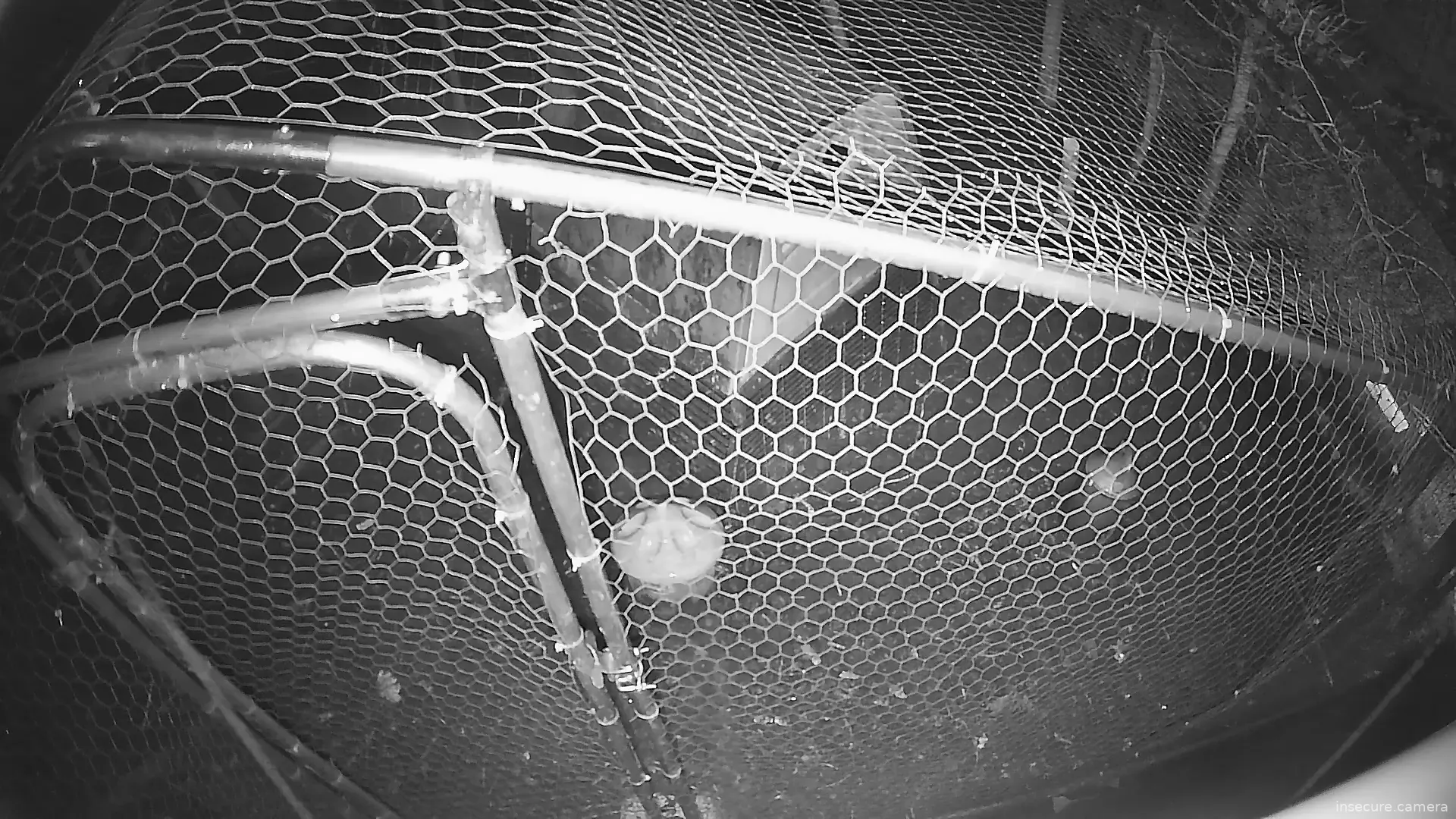 Capture from Feb 19, 2026 at 01:03 AM